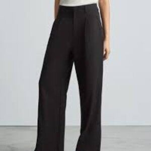 Everlane Black Way High Pleated Drape Pant Size 10S 30" Inseam NWOT